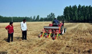 二月打雷是什么征兆 二月打雷是什么征兆