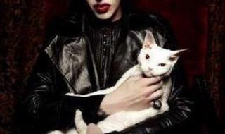 中国音乐电视现场版