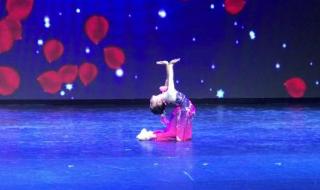 桃李杯舞蹈大赛 桃李杯舞蹈大赛