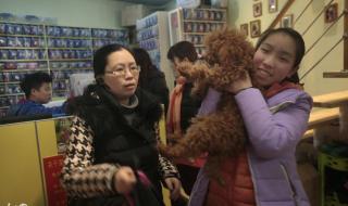 开个宠物店需要什么 开个宠物店需要什么