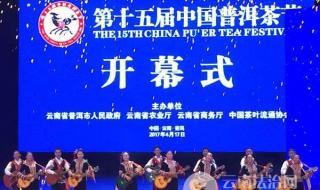 中国普洱茶节开幕 中国普洱茶节开幕