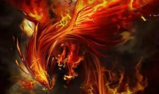 十二星座专属神龙 十二星座专属神龙