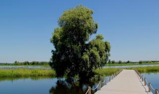 沈阳七星国际影城影讯 沈阳七星国际影城影讯