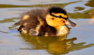 中国给水排水杂志